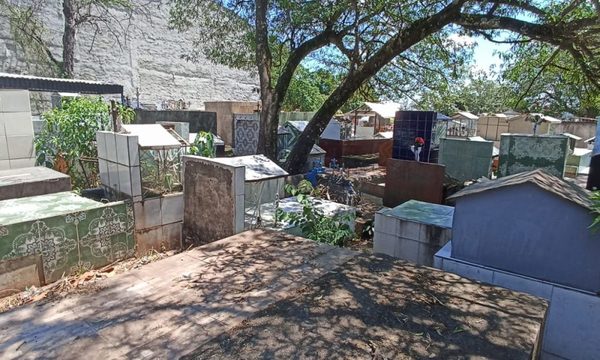 Aplicarán vacuna en cementerios