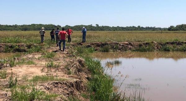 Apuntan a la ampliación de la producción de peces en estanque en el distrito de Ayolas