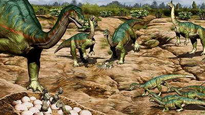 Paraguay organiza charla sobre nuevos descubrimientos de dinosaurios de Argentina | Ñanduti