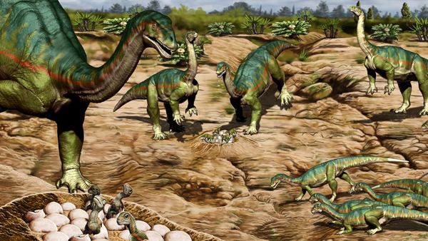 Paraguay organiza charla sobre nuevos descubrimientos de dinosaurios de Argentina | Ñanduti