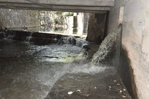 Cloaca cruda de la Essap contamina otra vez el arroyo Mburicao  - Nacionales - ABC Color