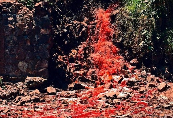 ¿'Cascadas de sangre' en el arroyo Mburicaó?