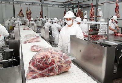 Carne: EE.UU audita 10 frigoríficos paraguayos para eventual compra - El Trueno