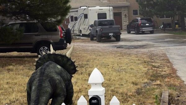 Padres y 2 hijos muertos en homicidio-suicidio en EE.UU.