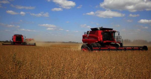 La Nación / Paraguay avanza en la creación de una variedad de soja capaz de soportar el clima del Chaco