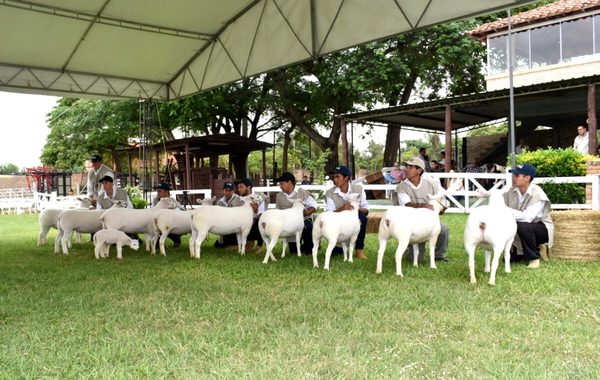 Expo Nacional Texel superó 400 millones de guaraníes en negocios