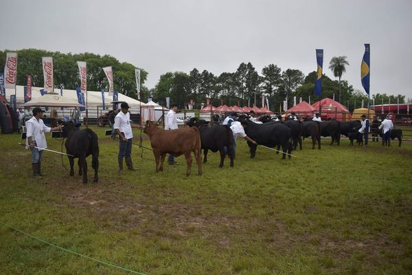 En la 4ª Expo Guairá estarán más de cincuenta empresas - Nacionales - ABC Color