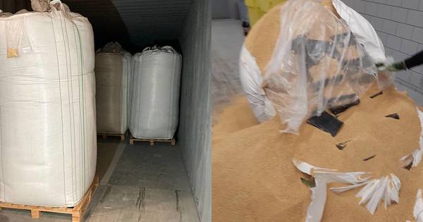 La Nación / Contenedor con cocaína fue contaminado en Paraguay: otra carga estaría en tránsito