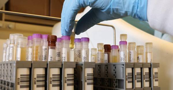 La Nación / Indonesia es el primer país en autorizar la vacuna anti-COVID de Novavax