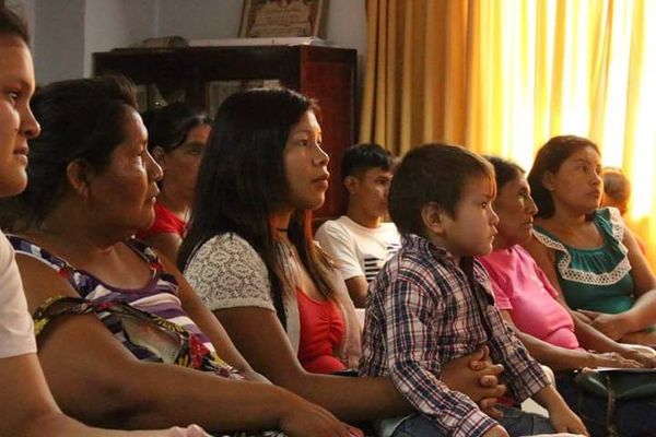 Plantearán Ley de escaños reservados para representantes de pueblos indígenas - Nacionales - ABC Color