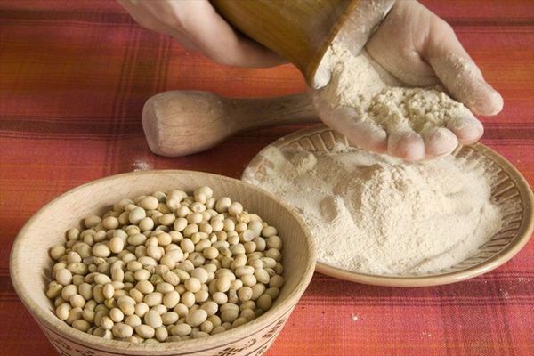 Exportaciones de harina de soja en auge