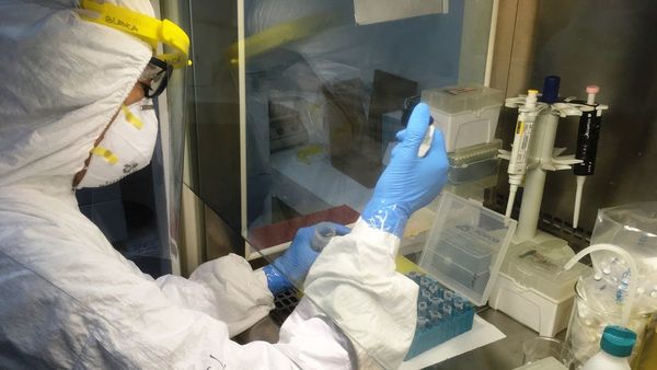 Covid-19: Ministerio de Salud registra 52 nuevos contagios y 6 muertes