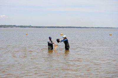 YACYRETÁ MONITOREA CALIDAD DEL AGUA EN ZONAS TURÍSTICAS DE ITAPÚA - Itapúa Noticias