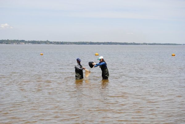 YACYRETÁ MONITOREA CALIDAD DEL AGUA EN ZONAS TURÍSTICAS DE ITAPÚA - Itapúa Noticias