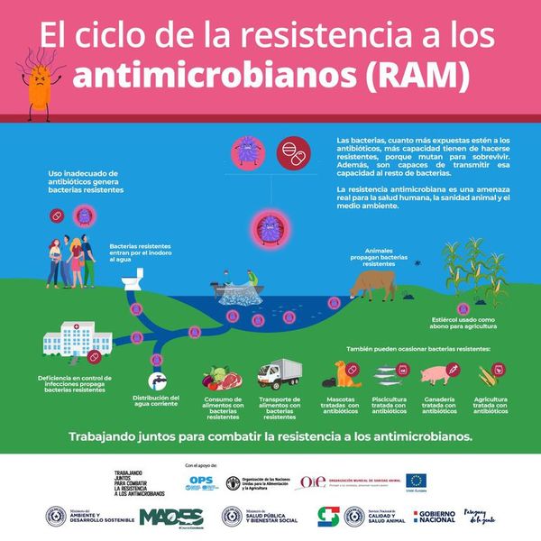 Senacsa insta a combatir con seriedad la resistencia antimicrobiana - Nacionales - ABC Color