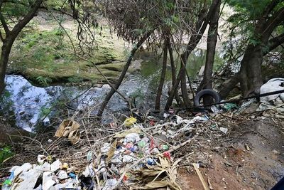 Ministerio del Ambiente se hace el mendigo, pero envía de gira por Escocia a sus funcionarios - Nacionales - ABC Color