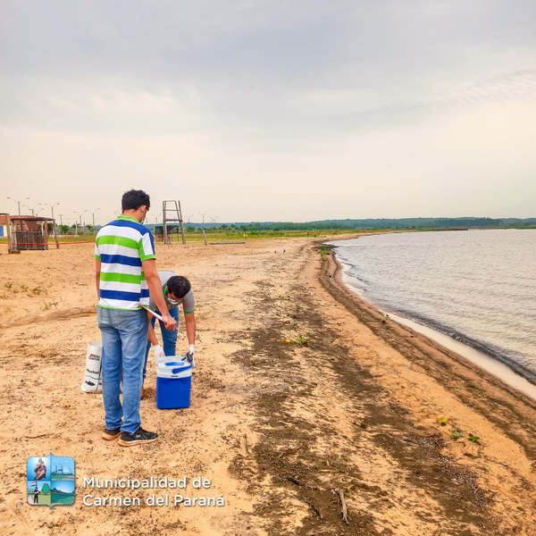 AGUAS DE PLAYAS DE CARMEN RECIBEN APROBACIÓN DE CALIDAD DE AGUAS - Itapúa Noticias