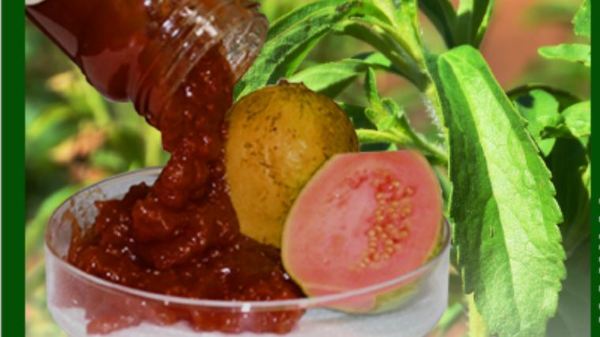El IPTA presenta la tecnología “Mermelada Hipocalórica de Guayaba utilizando ka’a he’ẽ”