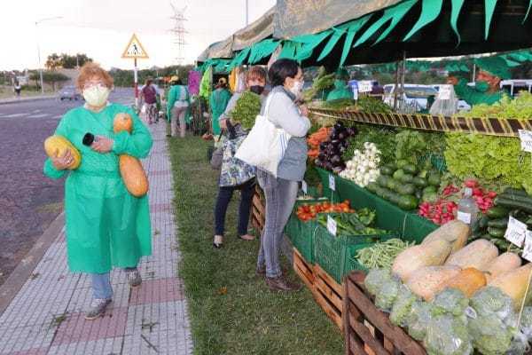 Este jueves realizan ferias agropecuarias en San Lorenzo y Asunción | Ñanduti