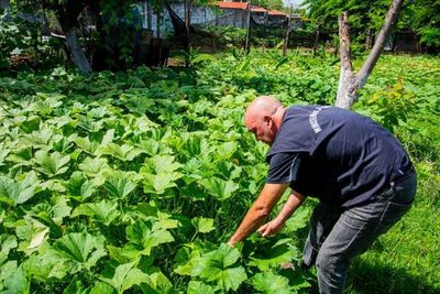 Granja penitenciaria acrecienta volumen de producción para autoconsumo y venta