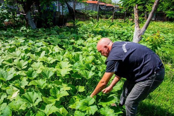 Granja penitenciaria acrecienta volumen de producción para autoconsumo y venta