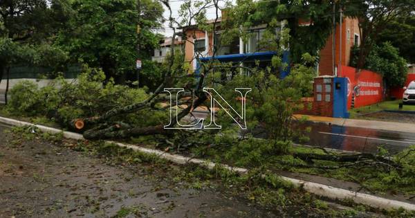 La Nación / Paraguay: informe climático de los últimos 25 años ayudará a diseñar estrategias de prevención