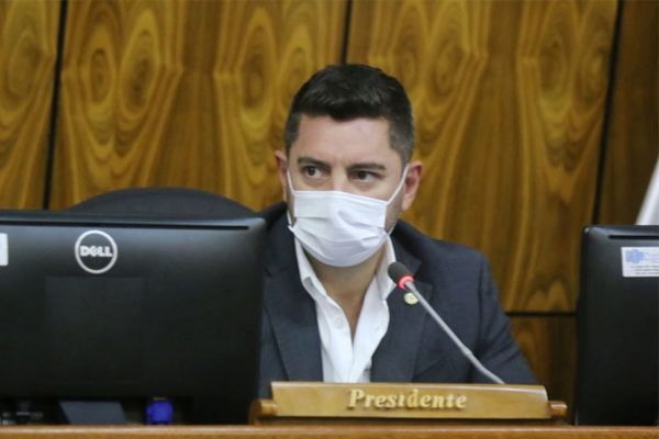 Pedro Alliana adelanta rechazo al proyecto de volver a las “listas sábanas” - ADN Digital