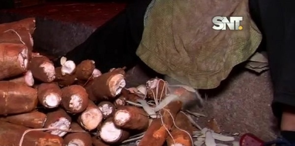 Pelando mandioca se gana el pan de cada día - SNT
