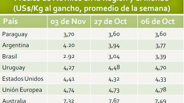 Cae cotización del novillo, pero hay dudas sobre precios de la carne