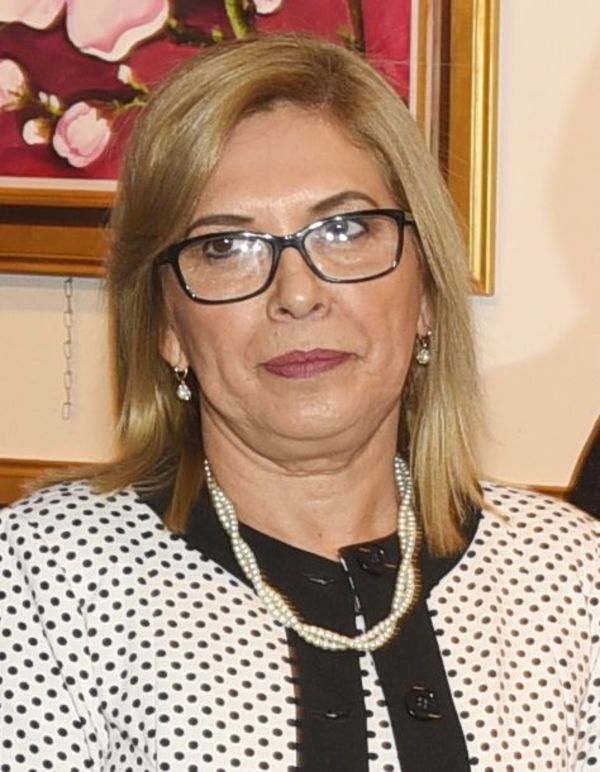 Senadores liberales presentan proyecto para volver al sistema de “listas sábana” - Nacionales - ABC Color