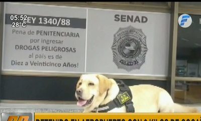 Can antidrogas detecta cocaína en aeropuerto Silvio Pettirossi | Telefuturo
