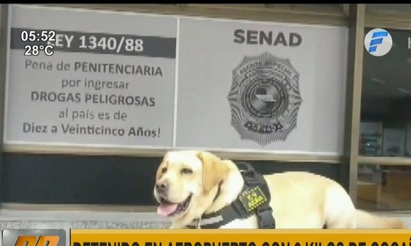 Can antidrogas detecta cocaína en aeropuerto Silvio Pettirossi | Telefuturo