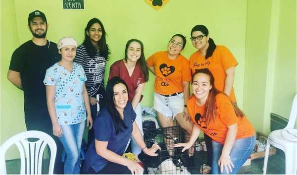 Organización recibe de 6 a 10 denuncias por día de abandono de mascotas en CDE - La Clave