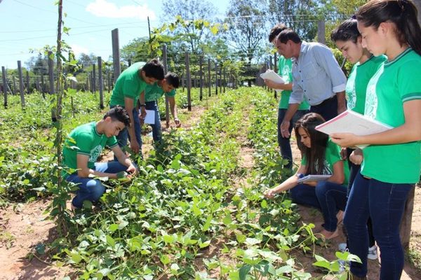 Buscan incluir cultura emprendedora en el programa curricular escolar - .::Agencia IP::.