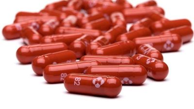 Paraguay analiza la compra de un antiviral oral contra el Covid-19
