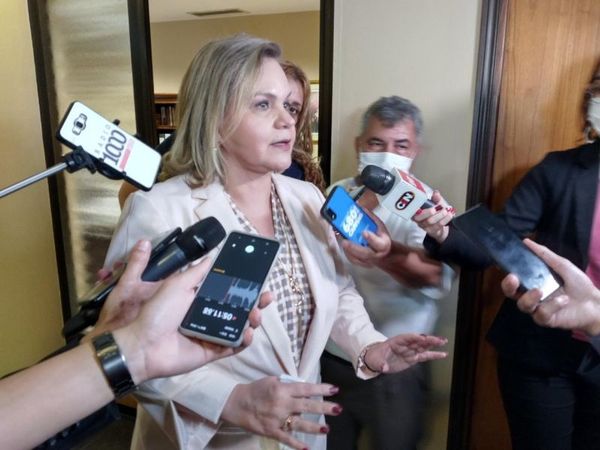 Lilian Samaniego reitera que sistema electoral es anti partidos