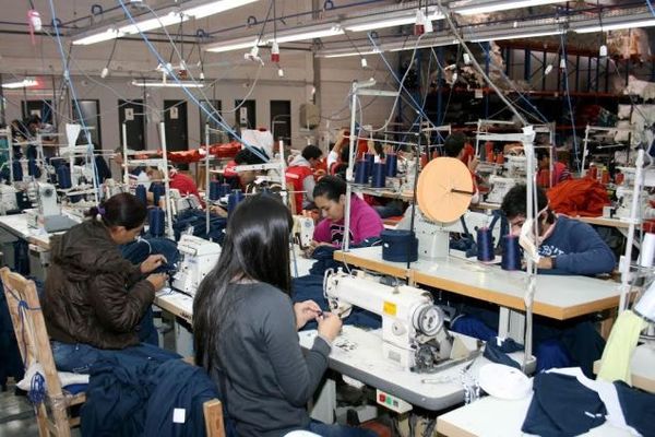 Expertos señalan necesidad de políticas integradas para facilitar el acceso al empleo - ADN Digital