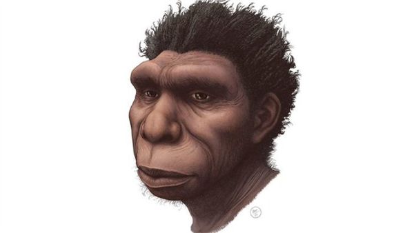 Homo bodoensis: la nueva especie que un grupo de científicos considera el ancestro directo de los humanos