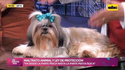 Maltrato animal y Ley de Protección - Ensiestados - ABC Color