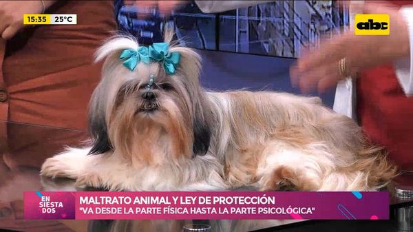 Maltrato animal y Ley de Protección - Ensiestados - ABC Color
