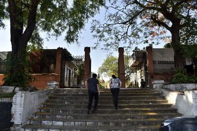 Castran a gatos que viven en el cementerio de la Recoleta - Nacionales - ABC Color