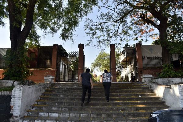 Castran a gatos que viven en el cementerio de la Recoleta - Nacionales - ABC Color