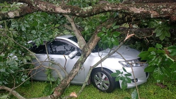 Árboles caídos, vehículos varados y mucho raudal deja tormenta en Alto Paraná