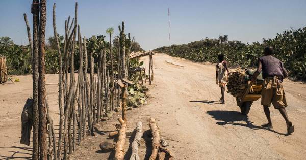 La Nación / Madagascar es víctima del calentamiento global