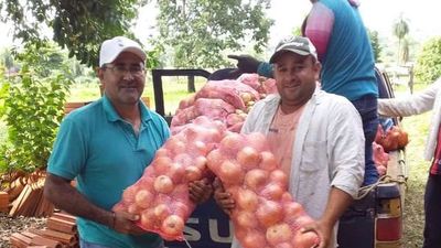 Con buena producción  fracasó la venta de cebolla
