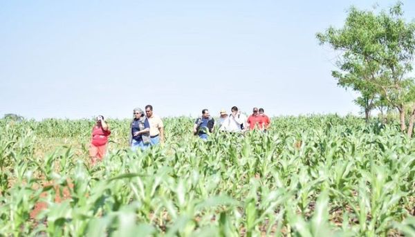Verifican marcha de proyectos productivos en el departamento de Misiones