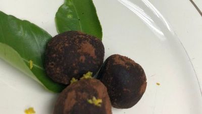 Surubí y helado de mburucuyá, el menú de la reina en Mburuvicha Róga
