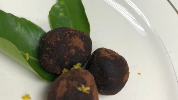 Surubí y helado de mburucuyá, el menú de la reina en Mburuvicha Róga