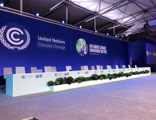 Denuncian que sección de Agricultura de la posición paraguaya en la COP26 tiene expresiones dañinas | Ñanduti