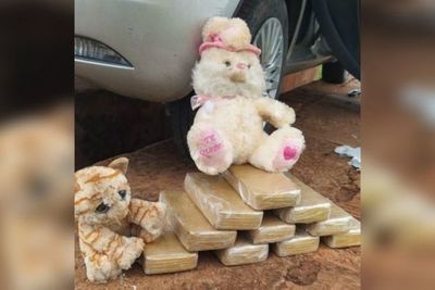 Incautan cocaína escondida en peluches en Ponta Porã
